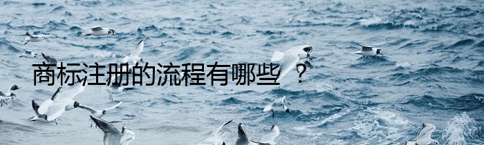 商标注册的流程有哪些 ？