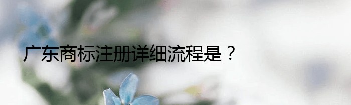 广东商标注册详细流程是？