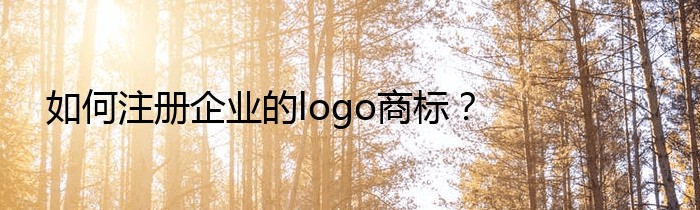 如何注册企业的logo商标？