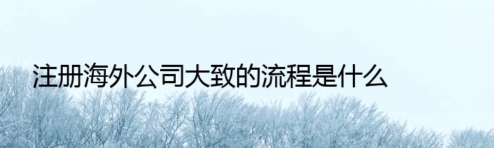 注册海外公司大致的流程是什么