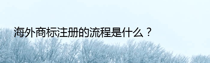 海外商标注册的流程是什么？