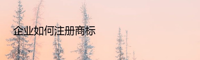 企业如何注册商标