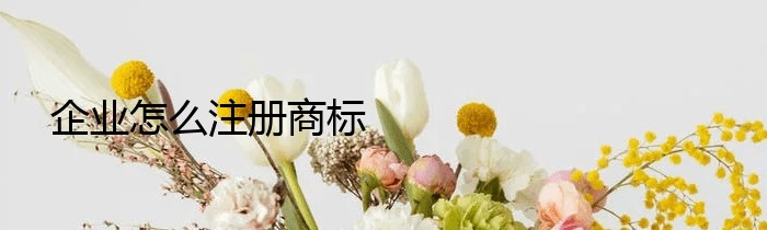 企业怎么注册商标