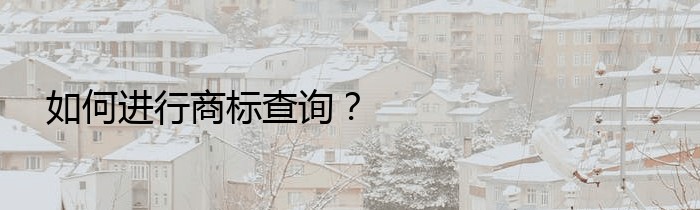 如何进行商标查询？