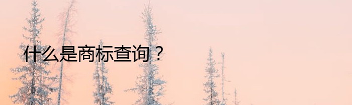 什么是商标查询？