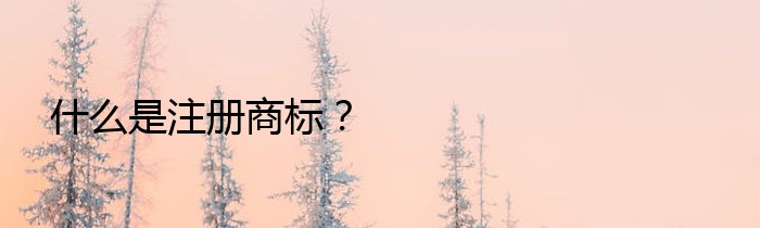 什么是注册商标？