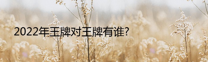 2022年王牌对王牌有谁?