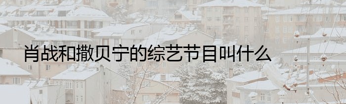 肖战和撒贝宁的综艺节目叫什么