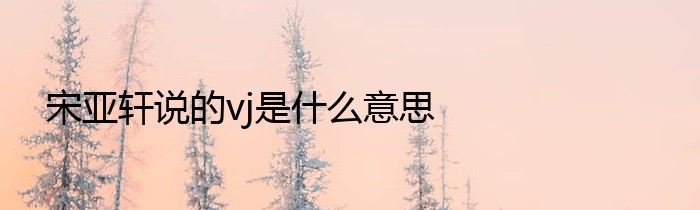 宋亚轩说的vj是什么意思