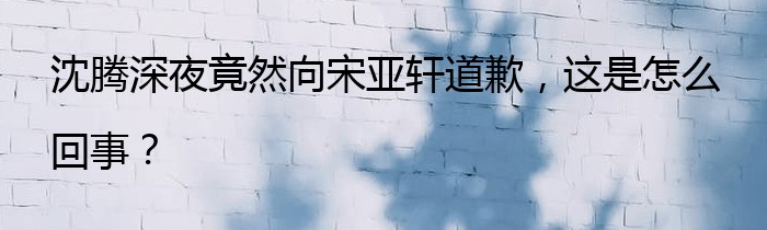 沈腾深夜竟然向宋亚轩道歉，这是怎么回事？