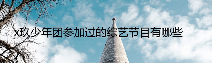 x玖少年团参加过的综艺节目有哪些