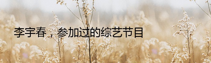 李宇春，参加过的综艺节目