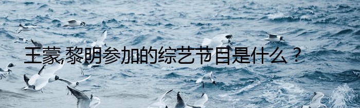 王蒙,黎明参加的综艺节目是什么？