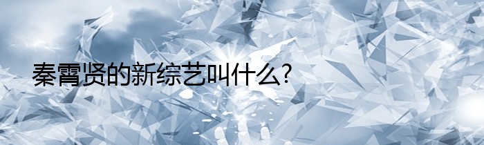 秦霄贤的新综艺叫什么?