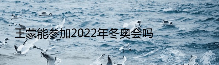 王蒙能参加2022年冬奥会吗