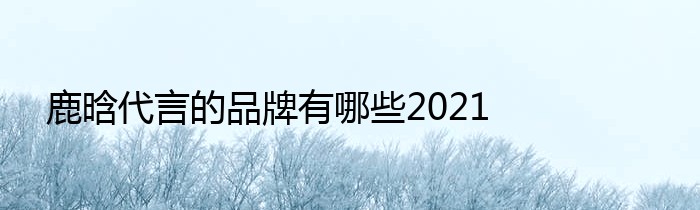 鹿晗代言的品牌有哪些2021