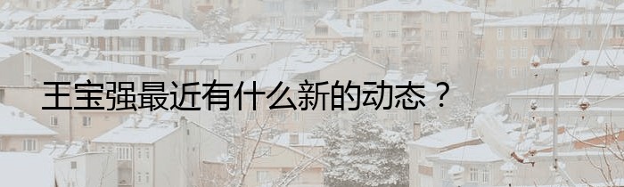 王宝强最近有什么新的动态？