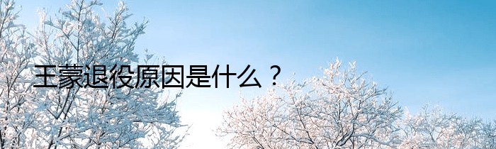 王蒙退役原因是什么？