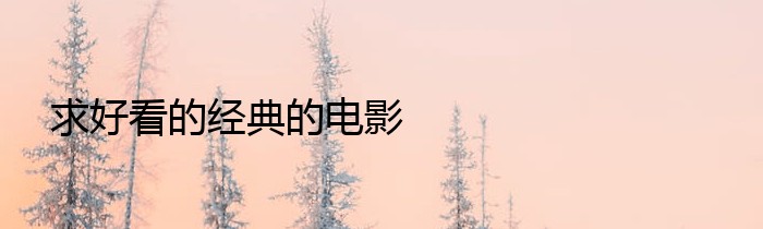 求好看的经典的电影