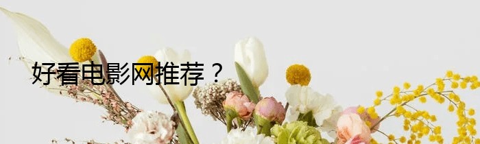 好看电影网推荐？