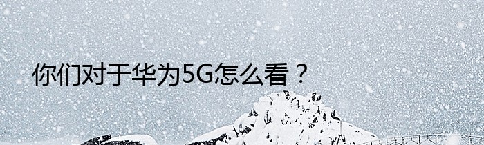 你们对于华为5G怎么看？