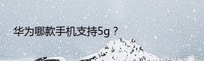 华为哪款手机支持5g？