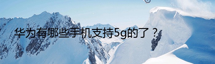 华为有哪些手机支持5g的了？