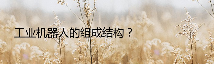 工业机器人的组成结构？